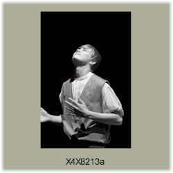 X4X8213a