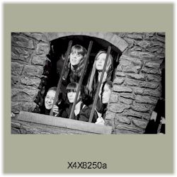 X4X8250a